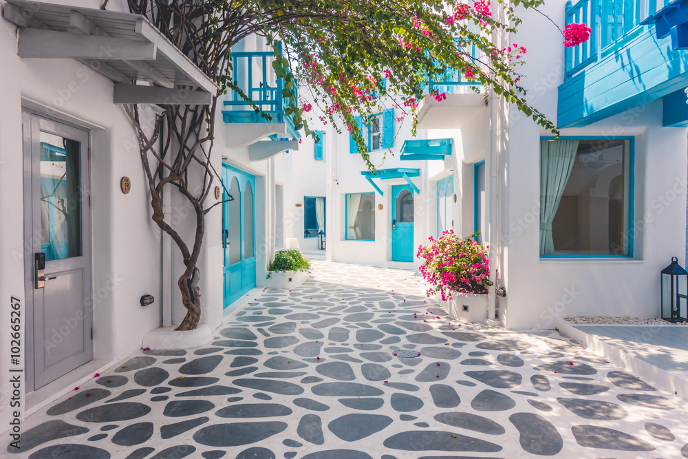 Beautiful architecture with santorini and greece style - obrazy, fototapety, plakaty 