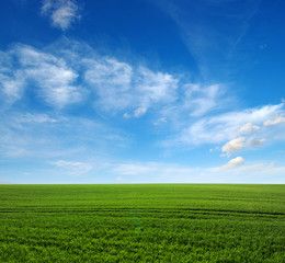 green field