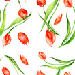 © helgafo - Pattern of tulips. Watercolor