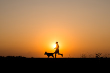 Silhouette Man And Dog Jogging On The Sunset Background