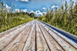 © stedem_photo - footbridge