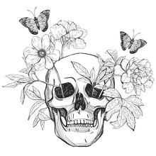 Flower Skull Free Stock Photo - Public Domain Pictures