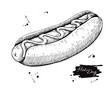 Vector vintage hot dog drawing. Hand drawn monochrome fast food