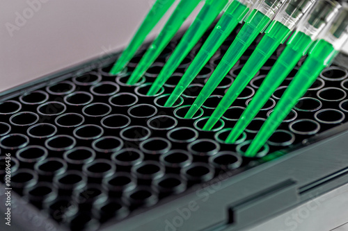 Adding Green Samples To A Black 96 Well Plate Using A Multi Channel Pipette Adobe Stock でこのストック画像を購入して 類似の画像をさらに検索 Adobe Stock