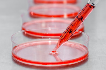 Sticker - Preparing cell culture in a biosafety cabinet.