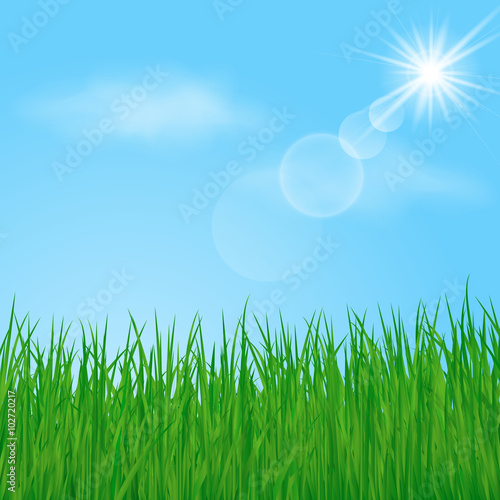 Green Grass On Sunny Sky Background Vector Illustration Buy