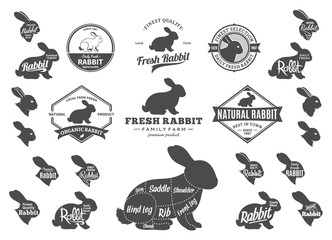 Wall Mural - Vector Rabbit Logo, Icons, Charts and Design Elements