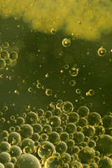 Wall Mural - World of bubbles 