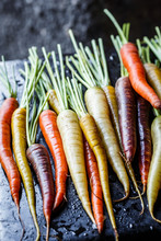 Multi-colored Carrots