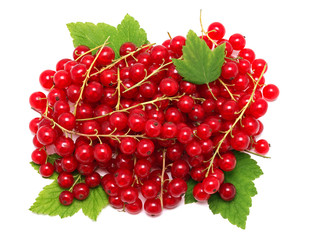 Wall Mural - Pile of ripe redcurrant berries on green leaves (isolated)