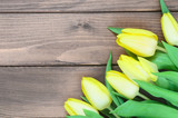 Fototapeta Tulipany - spring tulips on wooden background