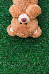 Wall Mural - cute teddy bear