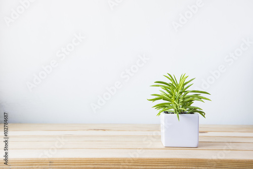 Fotografía Indoor plant on wooden table and white wall
