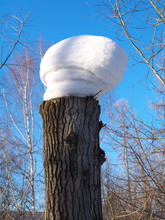 Snow Cap On A Poplar Stump