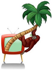 Wall Mural - Television screen with urangutan on the tree