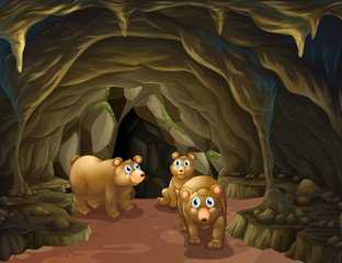 Poster - Bear family living in the cave