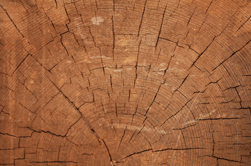 Wood texture