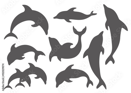 イラスト素材 イルカ Stock イラスト Adobe Stock イラスト素材 イルカ Stock イラスト Adobe Stock