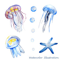 Watercolor Jellyfish Illustration.