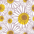Pattern daisy