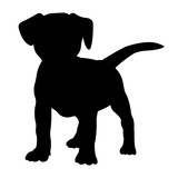 Fototapeta Dinusie - fox terrier puppy dog silhouette isolated