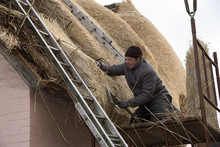 Thatcher Using A Leggett To Dress The Combed Wheat Reed On The Roof Of A House