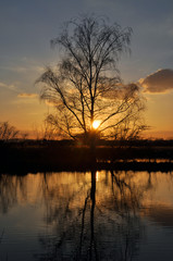 Canvas Print - reinheimer teich, abends