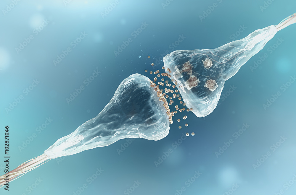 Synapse and Neuron cells sending electrical chemical signals Stock ...