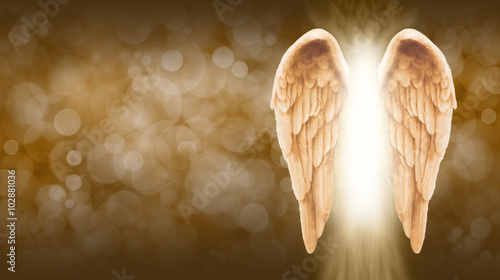 Golden Angel Wings on golden brown Bokeh Banner  - Wide golden brown bokeh ba...