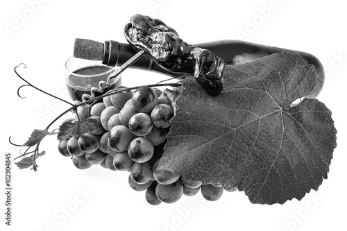 Raisin noir et blanc