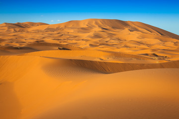  Desert dune at Erg Chebbi near Merzouga in Morocco.