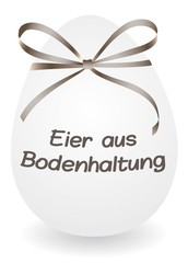 Canvas Print - Eier aus Bodenhaltung