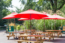 Red Umbrellas Over Wood Picnic Tables