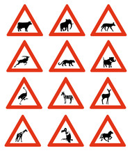 Twelve Animal Crossing Road Signs Of Namibia