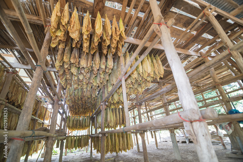 Tobacco Curing Barns Buy This Stock Photo And Explore Similar