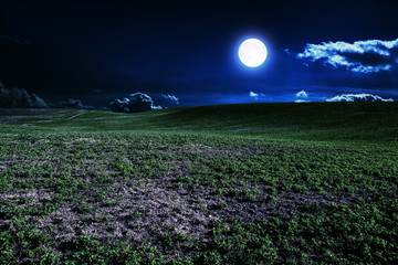 Wall Mural - green night field. star sky