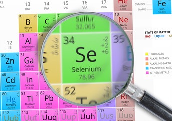 Poster - Selenium - Element of Mendeleev Periodic table magnified with magnifying glass
