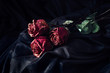 Three dry roses
