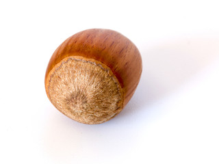 Hazelnut isolated on white background 