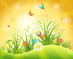 Wall Mural - Spring or summer background with green grass, flowers and butterflies