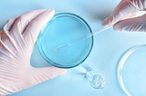 Fototapeta Sport - Chemical research in Petri dishes