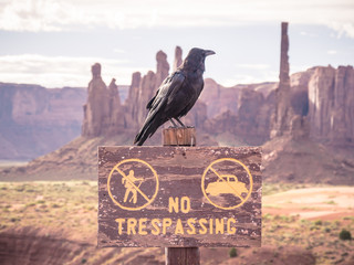 Wall Mural - monument valley, utah, usa
