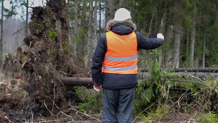 Poster - Forest inspector with tablet PC filmed spruce