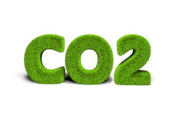 CO2 grass letters