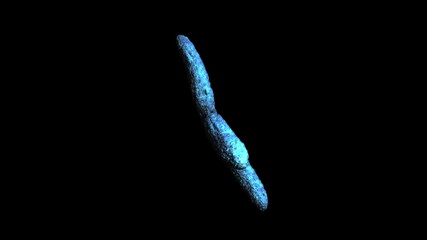 Poster - Animation of moving blue chromosomes
