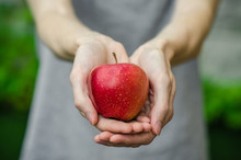 Vegetarians And Fresh Fruit And Vegetables On The Nature Of The Theme: Human Hand Holding A Red Apple On A Background Of Green Grass