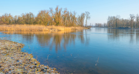  Shore of a lake in sunlight in winter