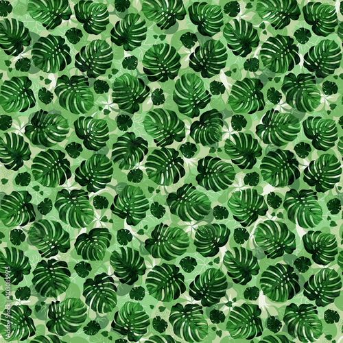 Naklejka samoprzylepna Pozostawia monstera