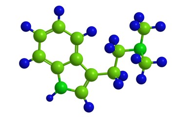 Wall Mural - Dimethyltryptamine - molecular structure