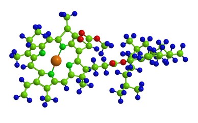 Wall Mural - Chlorophyll - molecular structure